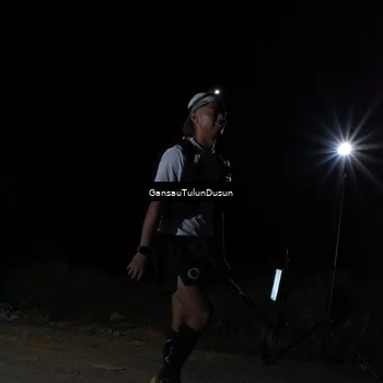 Runner Photo 5230693