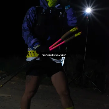 Runner Photo 5230705