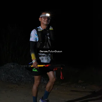 Runner Photo 5230706