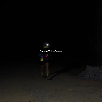 Runner Photo 5230710