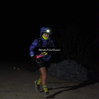 Runner Photo 5230712