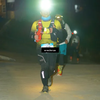 Runner Photo 5230729