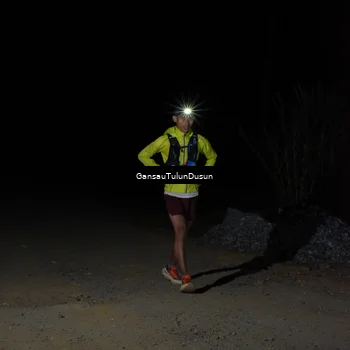 Runner Photo 5230734