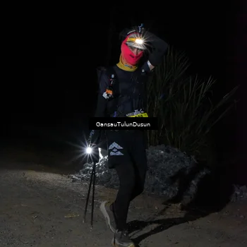 Runner Photo 5230746
