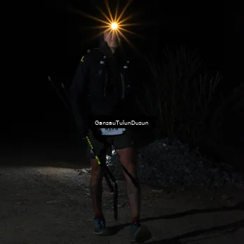 Runner Photo 5230748