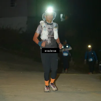 Runner Photo 5230753