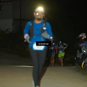 Runner Photo 5230761