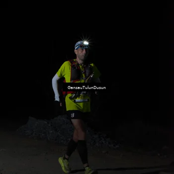 Runner Photo 5230763