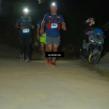 Runner Photo 5230776