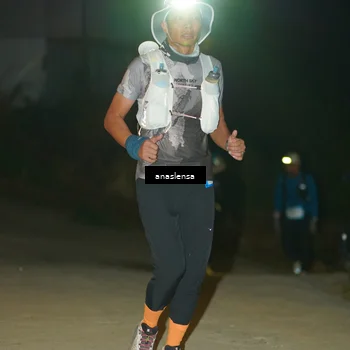 Runner Photo 5230780