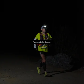 Runner Photo 5230834