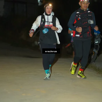 Runner Photo 5230878