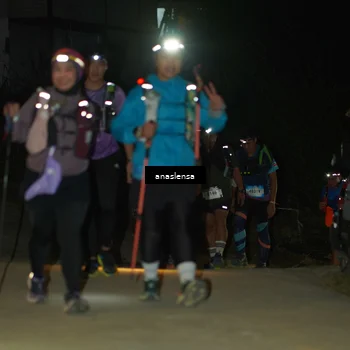 Runner Photo 5231149