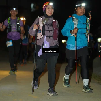 Runner Photo 5231156
