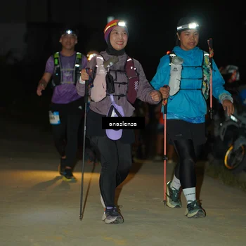 Runner Photo 5231160