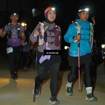 Runner Photo 5231161