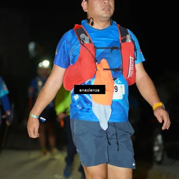 Runner Photo 5231170