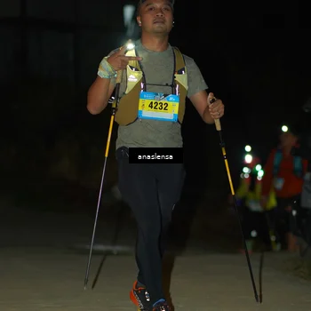Runner Photo 5231230