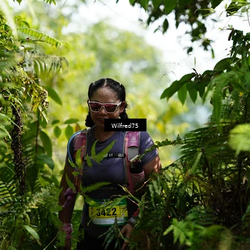 Runner Photo 5231266