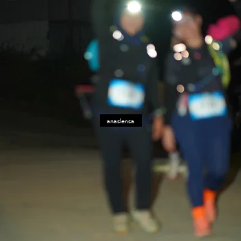 Runner Photo 5231268