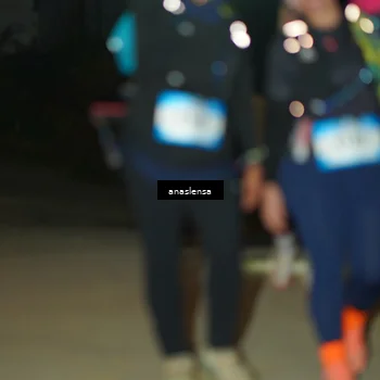 Runner Photo 5231269