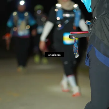 Runner Photo 5231278