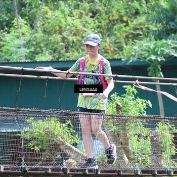Runner Photo 5231308