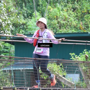 Runner Photo 5231360