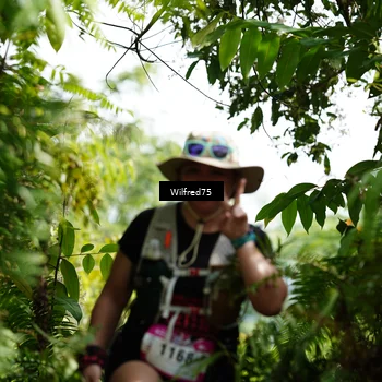 Runner Photo 5231437