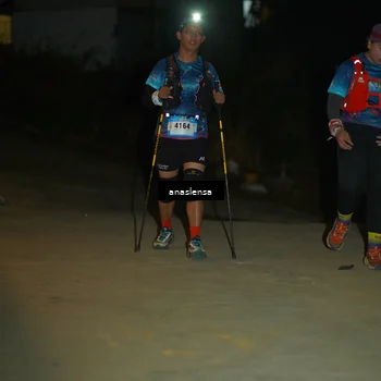 Runner Photo 5231445