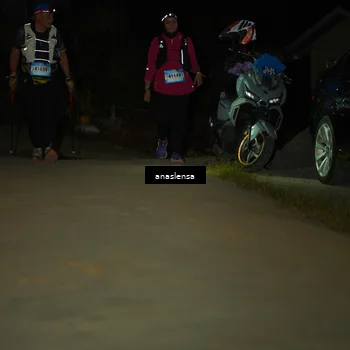 Runner Photo 5231557