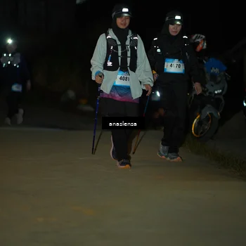 Runner Photo 5231601