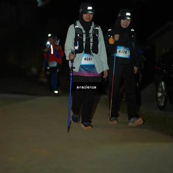 Runner Photo 5231612