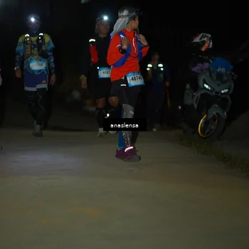 Runner Photo 5231628