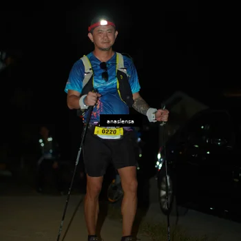 Runner Photo 5231667