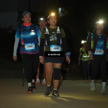 Runner Photo 5231676