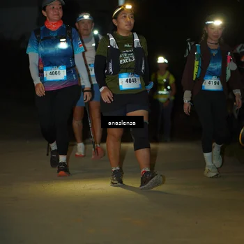 Runner Photo 5231700