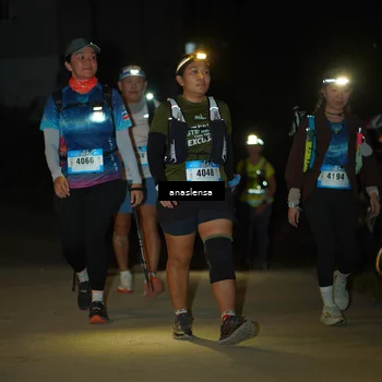 Runner Photo 5231702