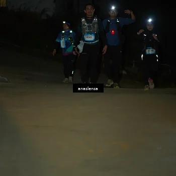Runner Photo 5231704
