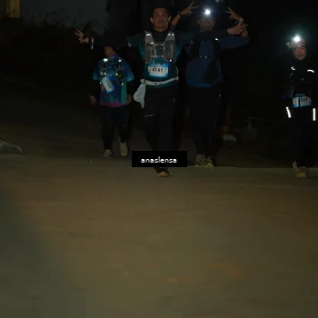 Runner Photo 5231708