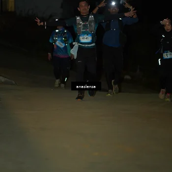 Runner Photo 5231724