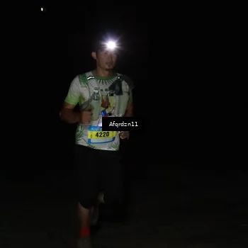 Runner Photo 5231766