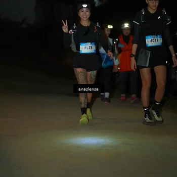 Runner Photo 5231801
