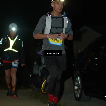 Runner Photo 5231839