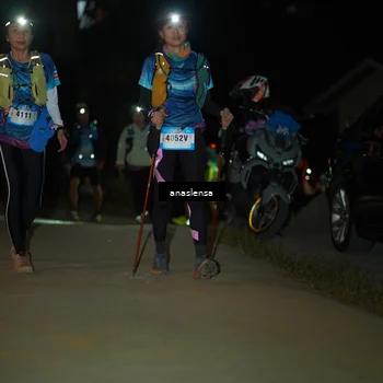 Runner Photo 5231887