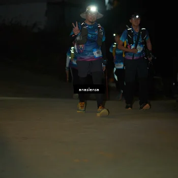 Runner Photo 5231921
