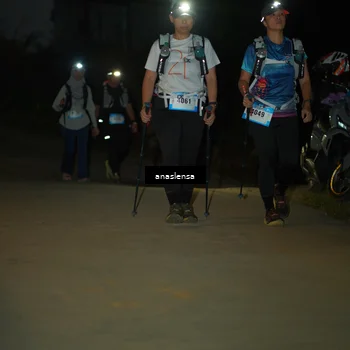 Runner Photo 5232044
