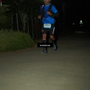 Runner Photo 5232187