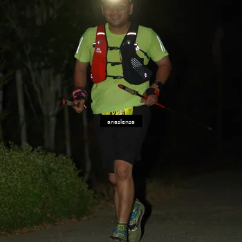 Runner Photo 5232190