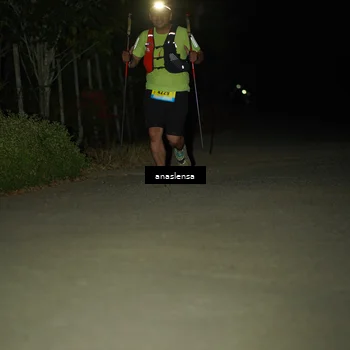 Runner Photo 5232200